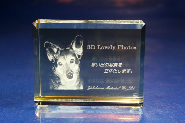 YDE031GD 【特価】