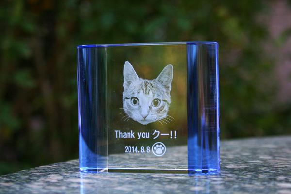 YOB009BL サイドカラー ブルー　2D加工ペット位牌