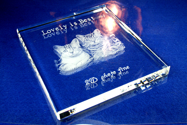 YIN007　グラスボード【特価】