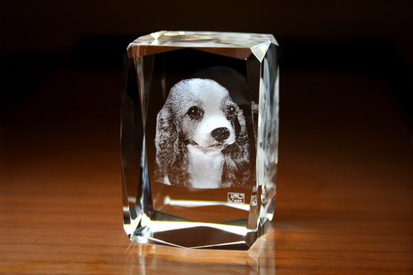 xxxYOB028 キューブ 24面カット【特価】