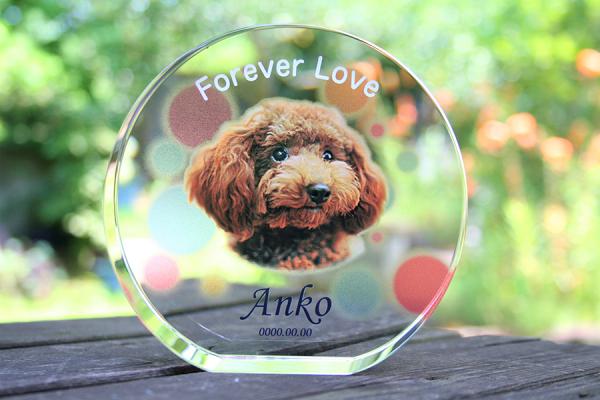 YTR061　サークルスタンド　カラー加工ペット位牌