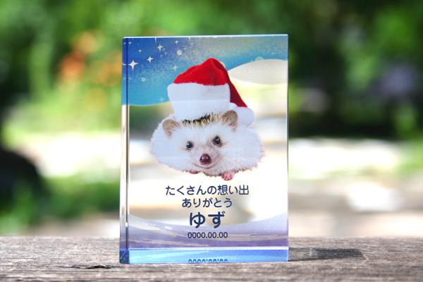 YTR012  角型スタンド　カラー加工ペット位牌