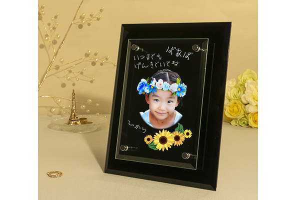 YTR144　ダブルガラスパネル楯　TYPE-A