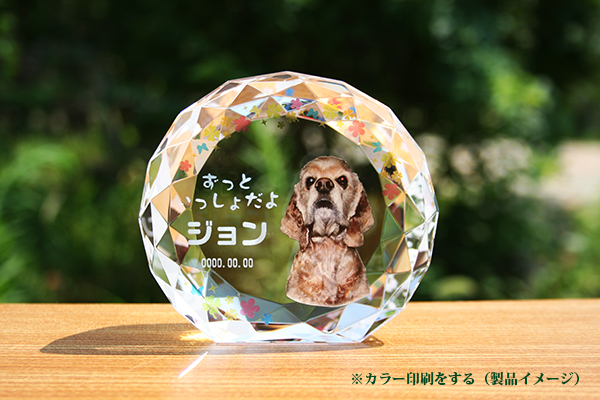 YOB034 サークルダイヤスタンド カラー加工 ペット位牌