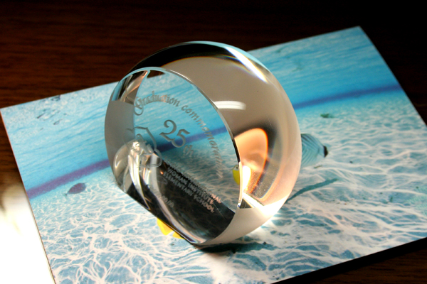 YDE023 ルーペ スタンド