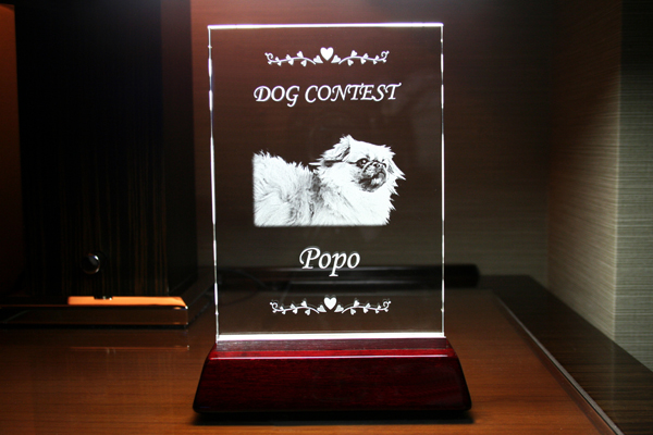 YTR024　トロフィー　ピアノウッド 1フォルム