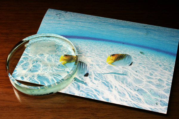 YDE026　ペーパーウェイト FLサークル